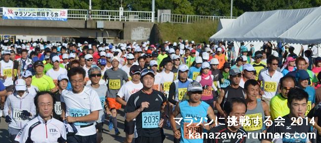 �}���\���ɒ��킷���