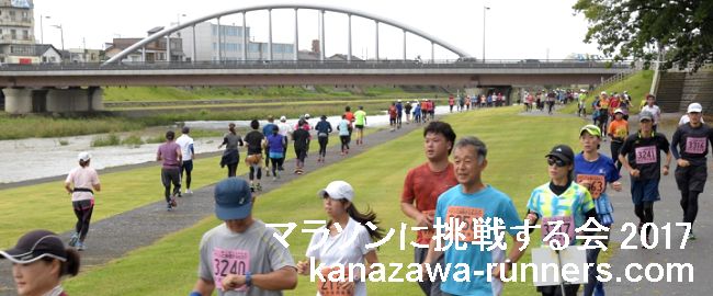 ���K�C�R�T�}�[�����j���O