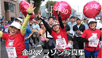 ����}���\��