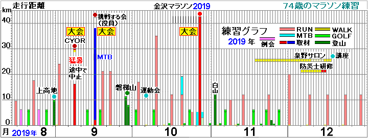 ����}���\��2019