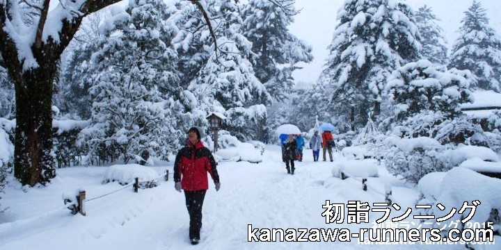 ���w�����j���O