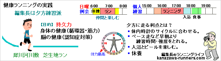 �ҏW���̃����j���O���K