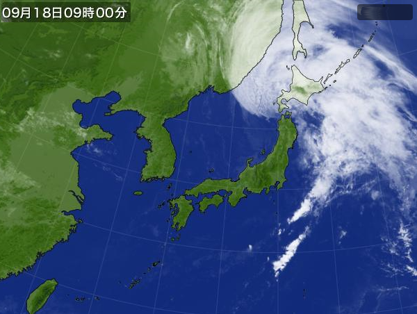 �}���\���ɒ��킷���F�����̋C�ۉq���摜