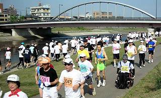 �}���\���ɒ��킷���