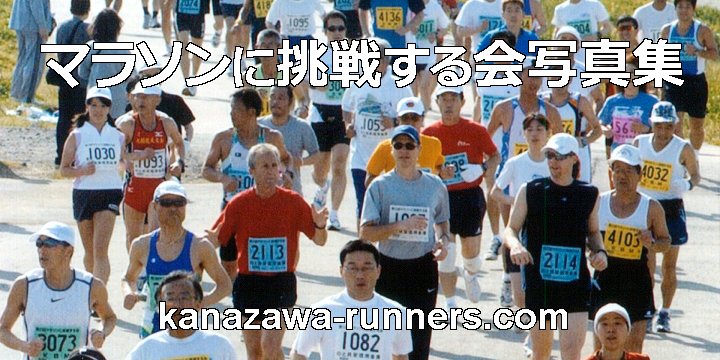 �}���\���ɒ��킷���