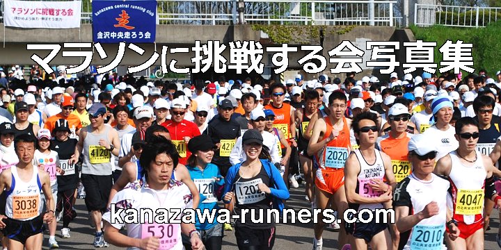 �}���\���ɒ��킷���