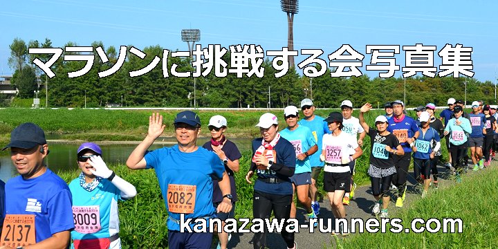 �}���\���ɒ��킷���