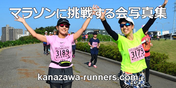 �}���\���ɒ��킷���