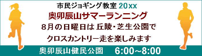 ���K�C�R���������𑖂�