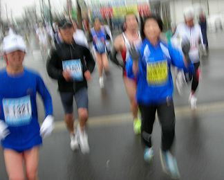 �������q�I��Ƒ���10k�̕��̑I��B