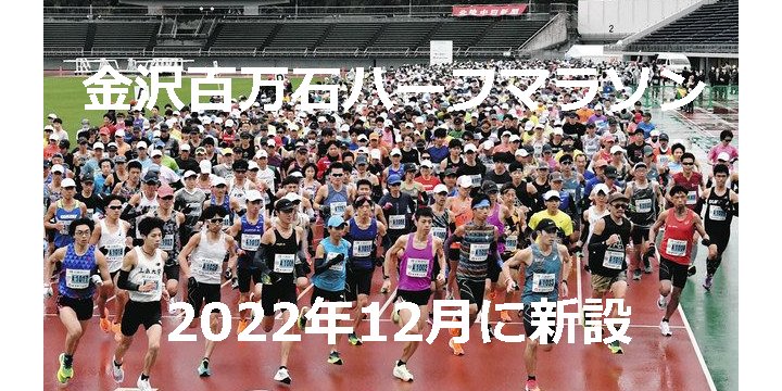 ����S���΃n�[�t�}���\��