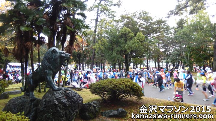 ����}���\��