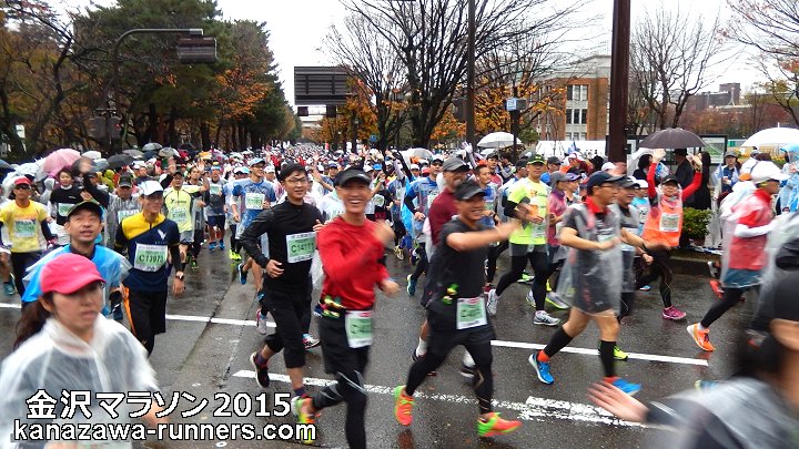 ����}���\��