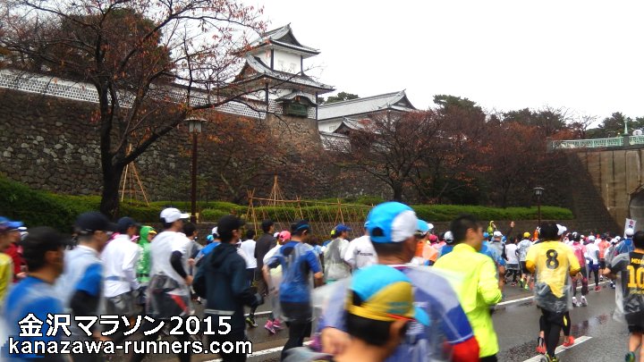 ����}���\��