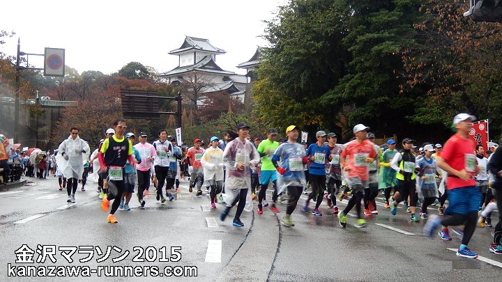 ����}���\��