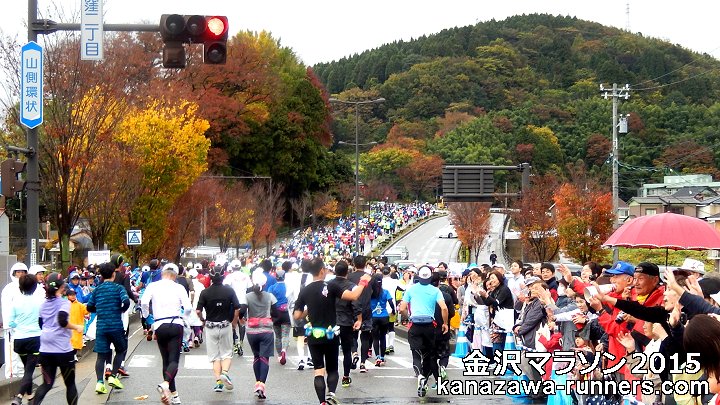 ����}���\��