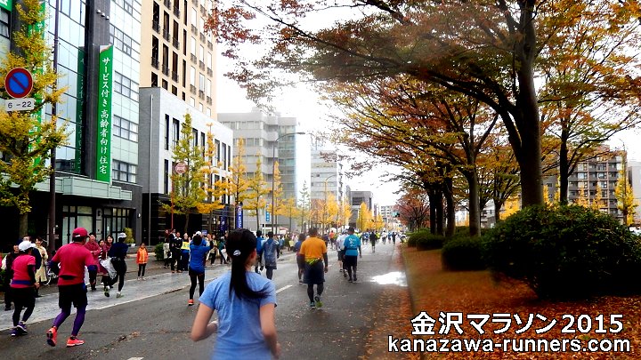 ����}���\��