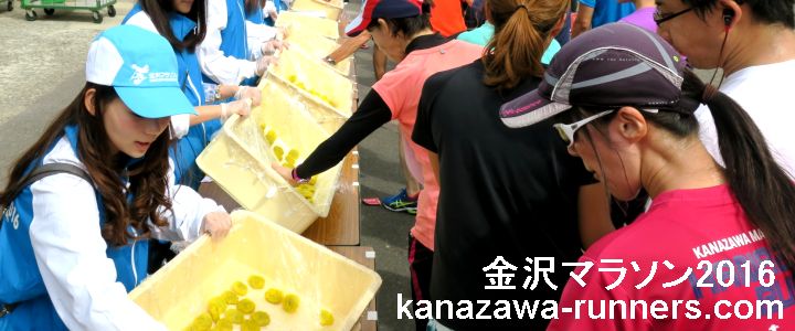 ����}���\��2016�ʐ^�W