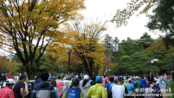 ����}���\��