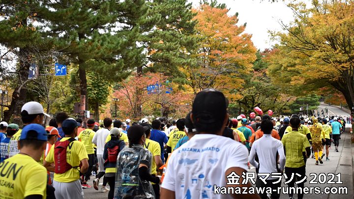 ����}���\��