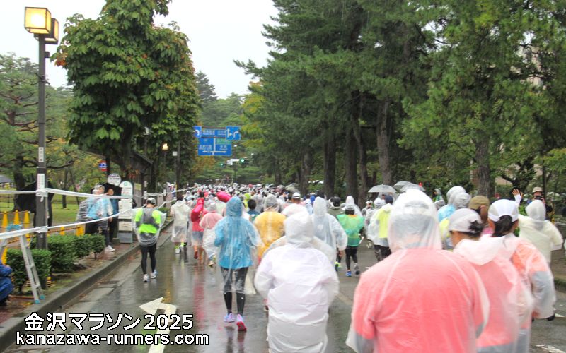 ����}���\��