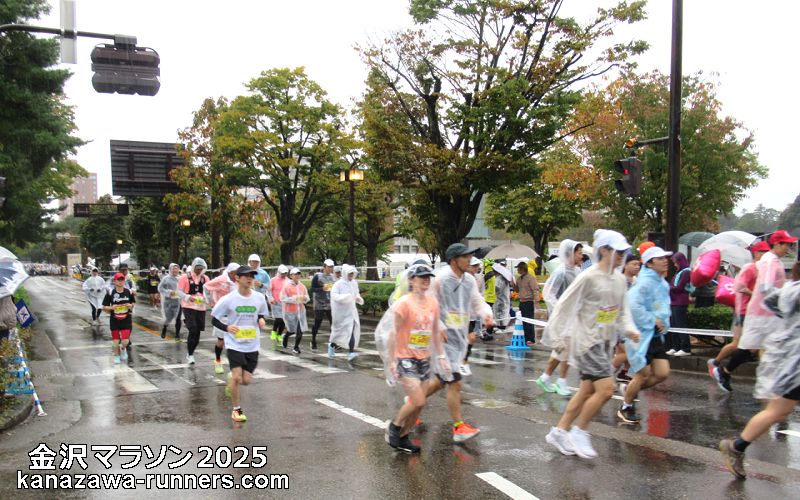 ����}���\��