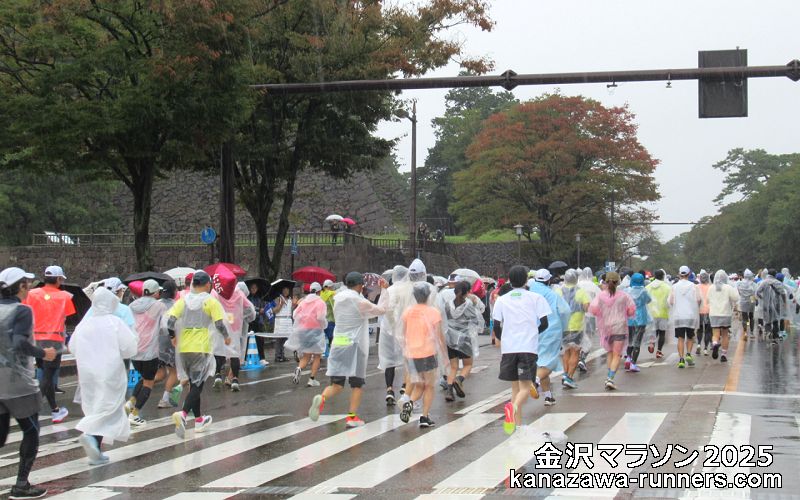 ����}���\��