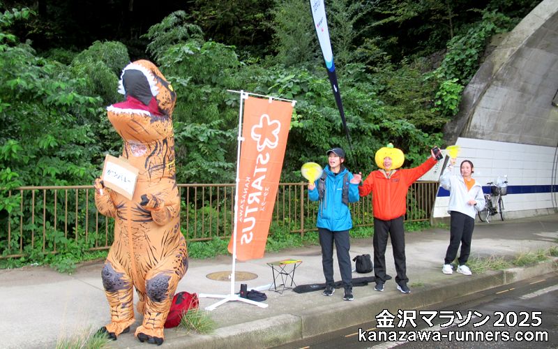 ����}���\��