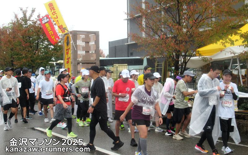 ����}���\��