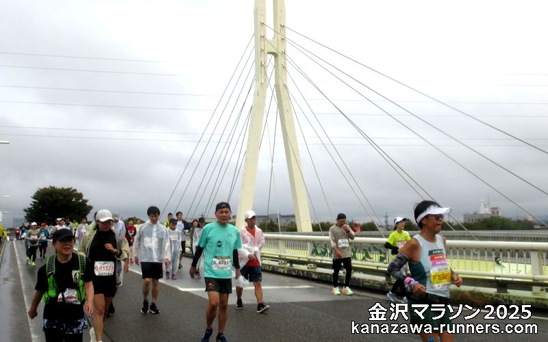 ����}���\��