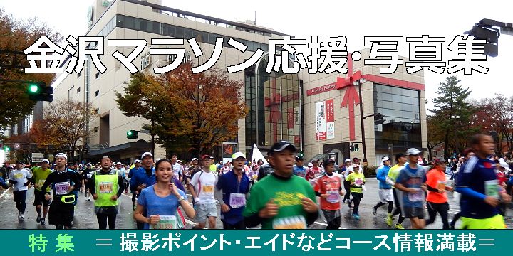 ����}���\��