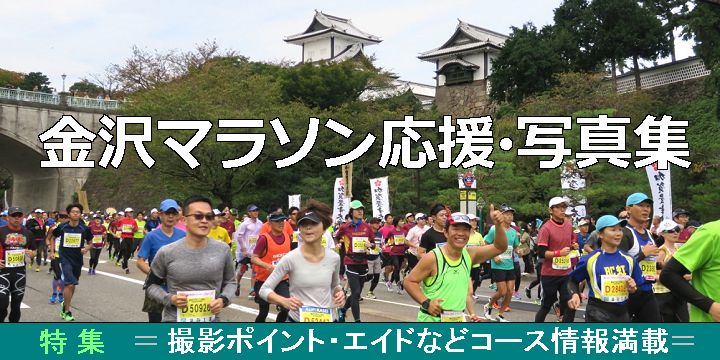 ����}���\��