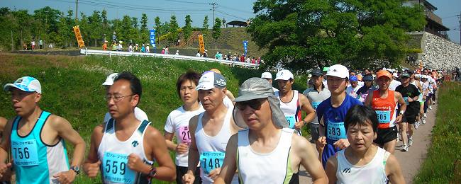 �Ƃ�ܐ����}���\���B42�D195�������n�܂�܂��B