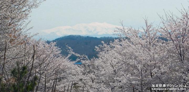 �}���\���R�[�X���璭�߂锒�R�����y���݂��������B