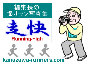 �ҏW���̑���ގʐ^�W�����y���݂��������B