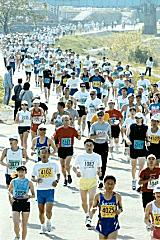 �ʐ^�}���\�����W�F�}���\���ɒ��킷���