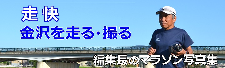 �ҏW���̃}���\���ʐ^�W